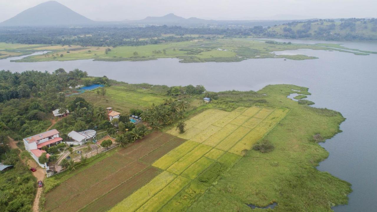 Nilambara Lake View Dambulla Esterno foto